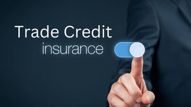 Letter of Credit vs Trade Credit Insurance