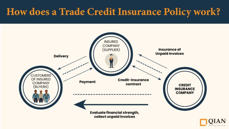 How does a Trade Credit Insurance Policy Work