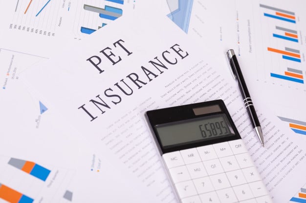 What is the Waiting Period for a Pet Dog Insurance Policy?