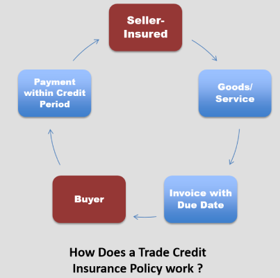 What is the Sum Insured for a Trade Credit Insurance Policy?